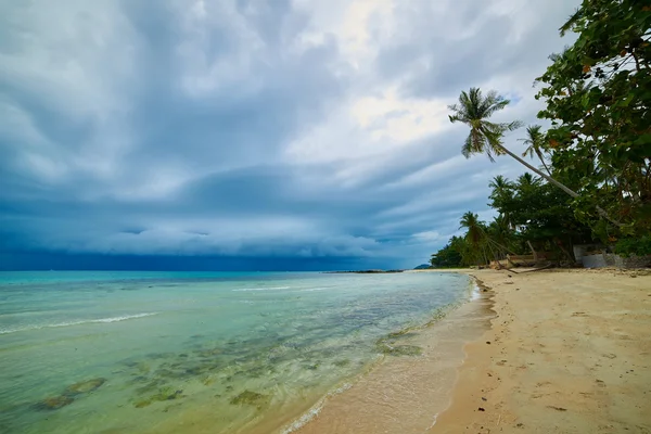 Gathering storm