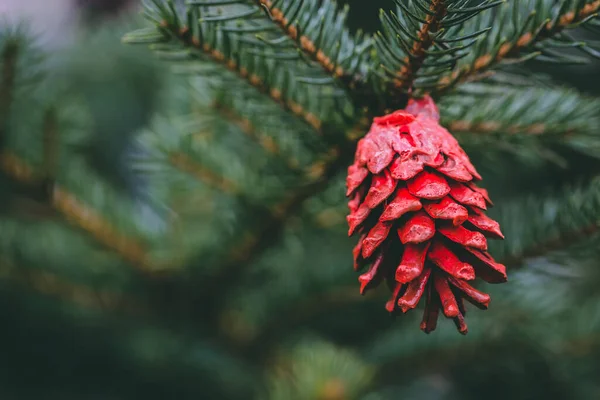 Décoration faite à la main bricolage sur un arbre de Noël — Photo