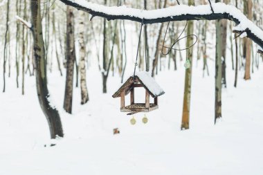 Kış parkında kuş yuvası ve kuş yemi