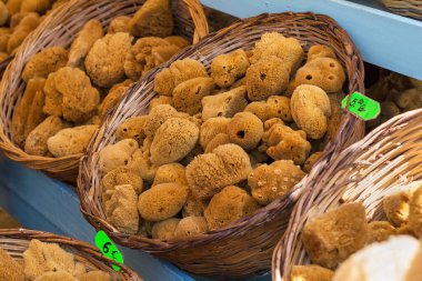 Farklı şekillerde soyulmuş süngerler. Seçici odak