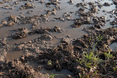Bahar yağmurundan sonra toprak yol, kapan
