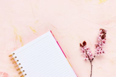 Kadın Yapılacaklar Listesi ve taze bahar pembe çiçekleri