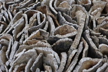 Cork kabuk barışlar