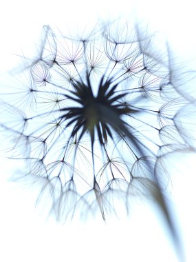 blowball gökyüzü