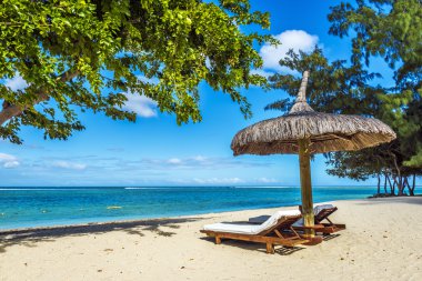 White sand beach with lounge chairs and umbrella in Mauritius Is clipart