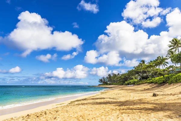 Sunset Beach, Oahu, Hawaï — Photo