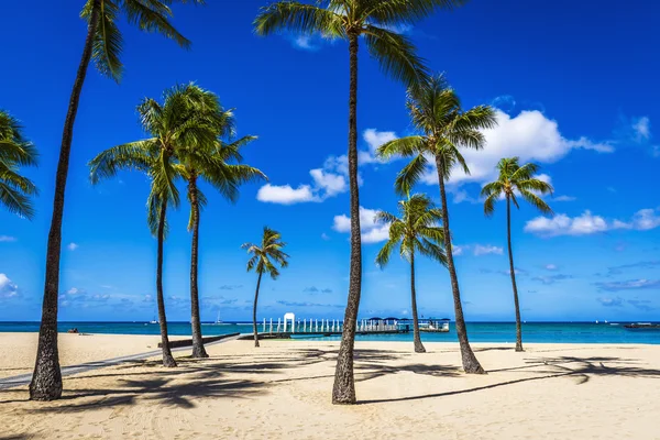 Fort DeRussy Beach Park em Waikiki, Honolulu — Fotografia de Stock