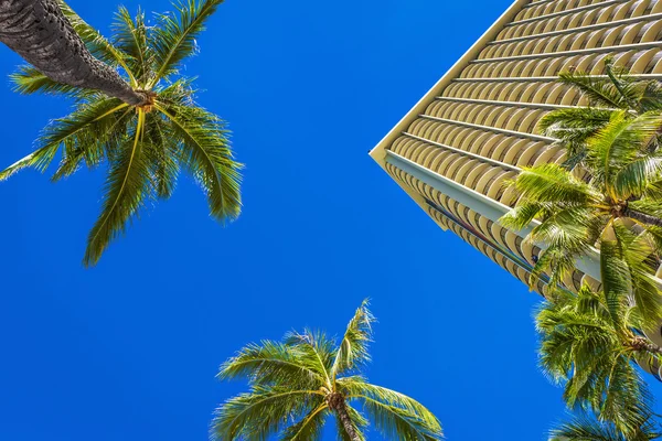 Široký úhel čelní fasády mrakodrapu a palm stromy — Stock fotografie