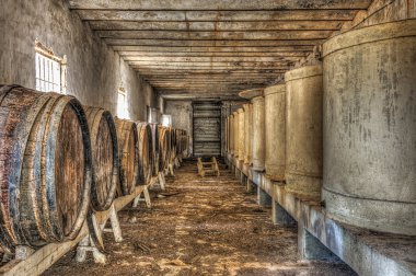 Wine barrels and vats in an abandoned wine cellar clipart