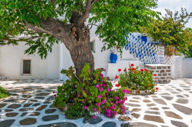 Tree-shaded square in Mykonos old town clipart