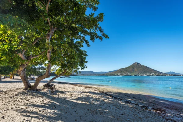 Hermosa playa en Wolmar, Flic en Flac, Isla Mauricio, India — Foto de Stock