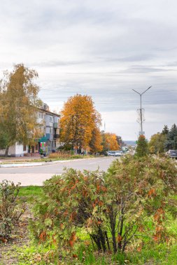 Sonbahar şehir manzaraları ve bir sonbahar günü çocuk parkları.