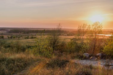 Çimenli ve ağaçlı Steppe manzaraları.
