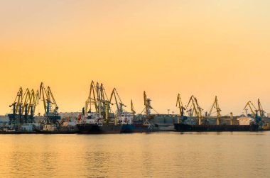 Deniz limanı. Gün batımındaki martılar. Atmosferik akşam manzarası.