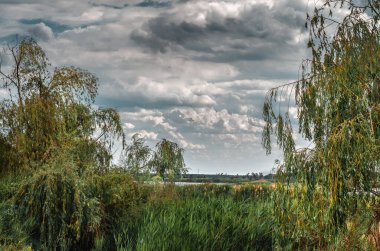 Nehirli, söğütlü ve kamışlı güzel bir manzara..