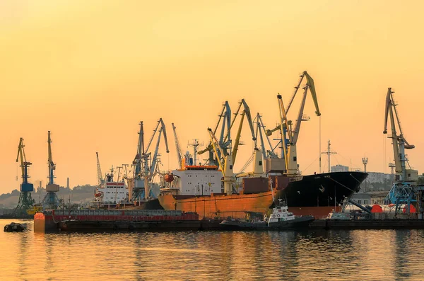 Deniz limanı. Gün batımındaki martılar. Atmosferik akşam manzarası.