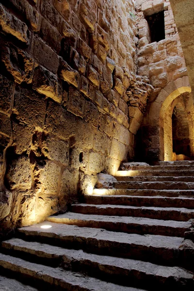 Jordan Ajloun kalede — Stok fotoğraf