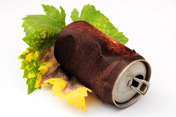 さびた缶と秋の葉 — ストック写真