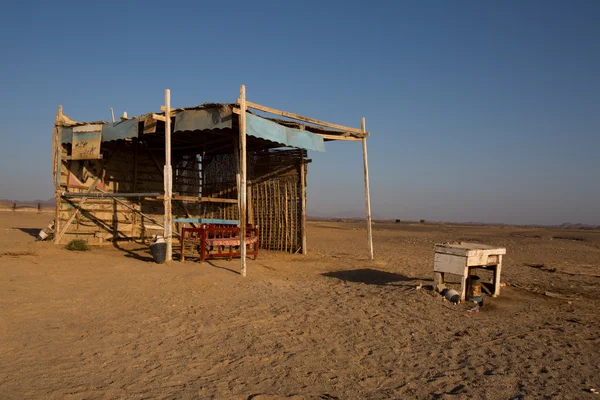 Çöl devesi için dinlenme yeri