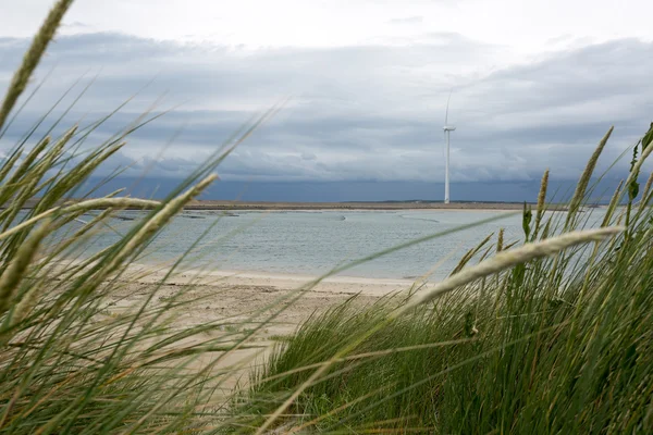 Hollandalı sahil peyzaj