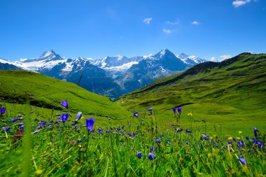 Peyzaj sahne ilk Grindelwald, Bernese Oberland, Swi