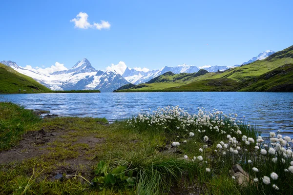 Krajobraz sceny od pierwszego do Grindelwald w Oberlandzie Berneńskim, Swi — Zdjęcie stockowe