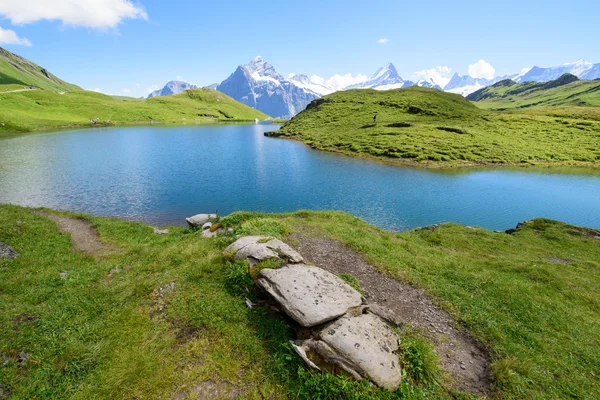 Krajobraz sceny od pierwszego do Grindelwald w Oberlandzie Berneńskim, Swi — Zdjęcie stockowe