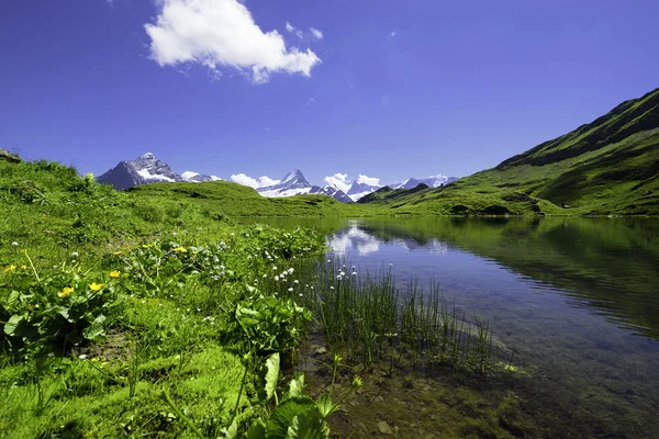 Krajobraz sceny od pierwszego do Grindelwald w Oberlandzie Berneńskim, Swi — Zdjęcie stockowe