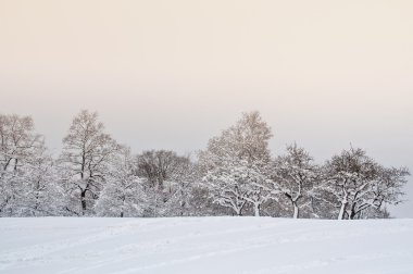 Karla kaplı ağaçlarla kaplı güzel kış manzarası