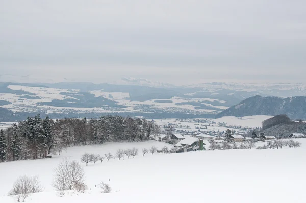 Vackert vinterlandskap med snötäckt — Stockfoto