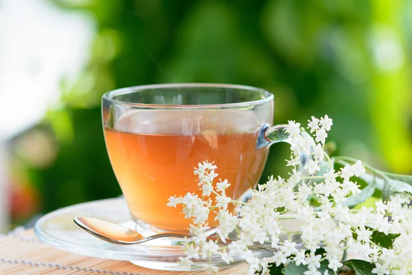 Tè di fiori di sambuco di medicina sana — Foto Stock