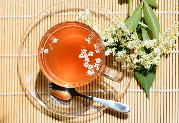 Tè ai fiori di sambuco della medicina sana — Foto Stock