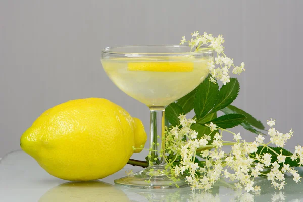 Bebida de verano Limonada de flor de saúco — Foto de Stock