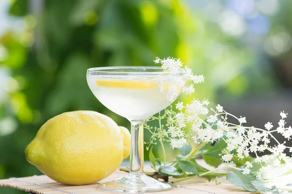 Summer drink Elderflower Lemonade — Stock Photo, Image