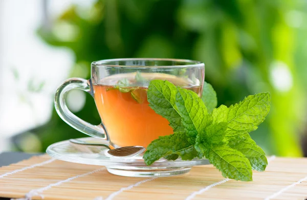 Healthy Medicine mint tea — Stock Photo, Image