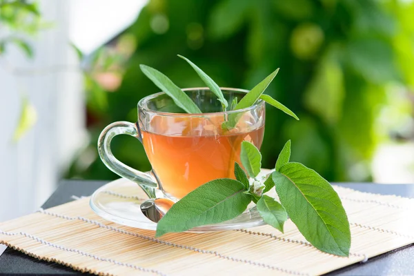 Healthy Medicine sage tea — Stock Photo, Image