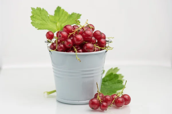 Organic fresh delicious redcurrant berry — 图库照片