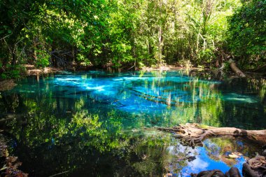 Zümrüt Mavi doğal Havuzu. Krabi il, Tayland