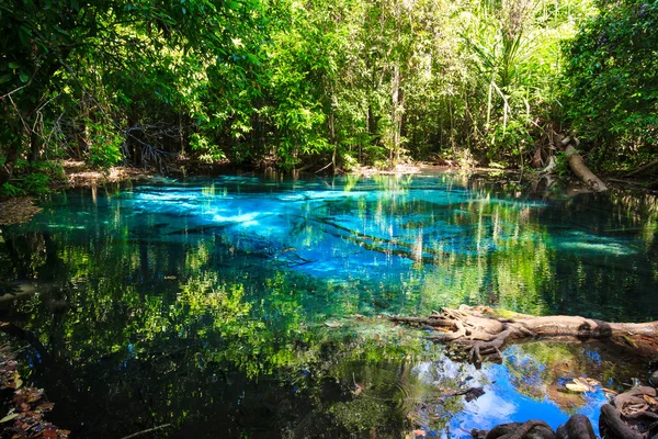 에메랄드 블루 자연 수영장입니다. 끄라 비 주, 태국 스톡 이미지