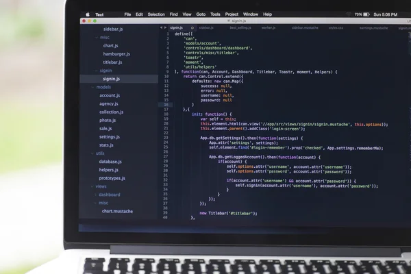 Softwarový projekt pomocí JavaScriptu — Stock fotografie