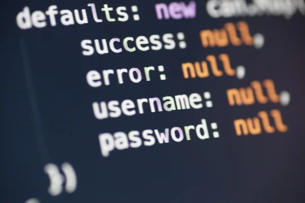 Variabili nome utente e password in Javascript — Foto Stock