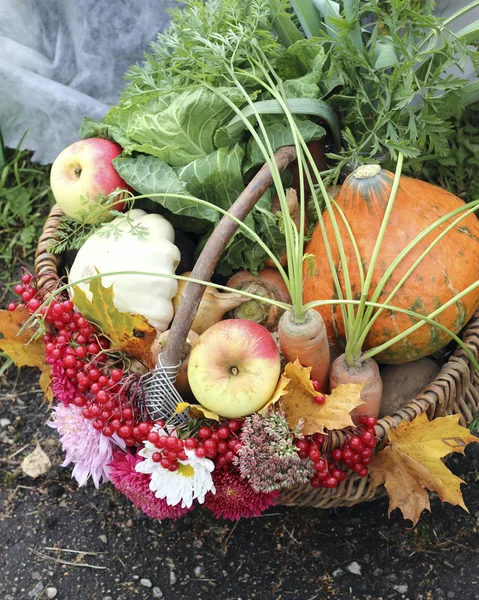 Sepet dolusu sebze ve meyve — Stok fotoğraf