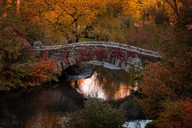 New York - ABD - 31 Ekim 2020: Gapstow Köprüsü 'nün Güzel Renkleri New York Central Park