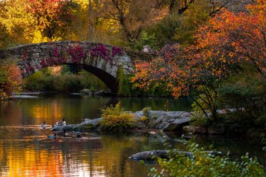 New York - ABD - 31 Ekim 2020: Gapstow Köprüsü 'nün Güzel Renkleri New York Central Park