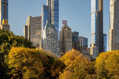 New York - ABD - 31 Ekim 2020: New York Central Park 'ın güzel yeşillik renkleri South Skyline