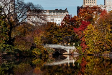 New York - ABD - 5 Kasım 2020 Bow Bridge Central Park 'ın güzel yeşillik renkleri
