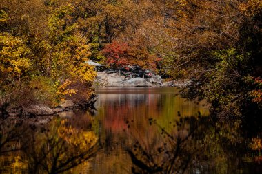 New York - ABD - 5 Kasım 2020 Bow Bridge Central Park 'ın güzel yeşillik renkleri