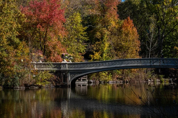 New York City Usa Nov 2020 Schöne Laubfarben Der Bow — Stockfoto