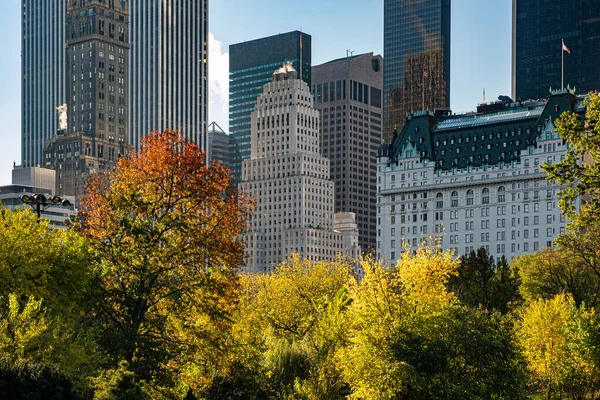 ニューヨーク市 アメリカ 2020年10月31日 ニューヨーク中央公園の美しい葉の色サウススカイライン ロイヤリティフリーのストック画像