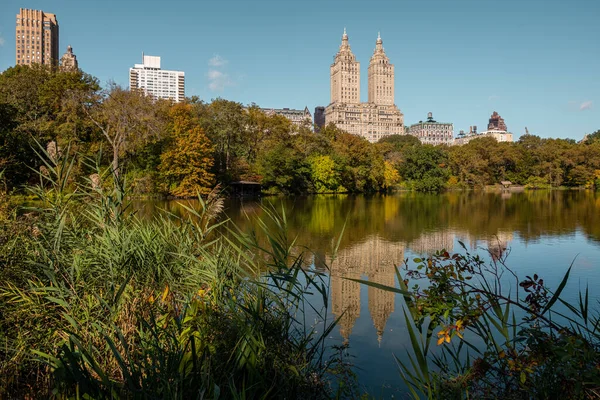 ニューヨーク市 アメリカ 2020年10月31日 ニューヨーク中央公園の美しい葉の色サウススカイライン ストック写真